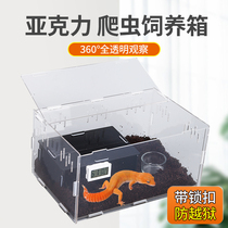 Acrylic feeding box reptile pet scorpion shougong turtle snail bread worm lizard corn snake horn frog feeding box