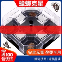 Cockroach drug for one end Home Home Full Nest End God Instrumental box House Non-toxic powerful Cockroach Catcher and Cockroach Catcher Sweep