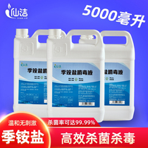 Anti-epidemic special compound double-chain quaternary ammonium salt disinfectant 5L clothing environment home multi-purpose sterilization and disinfection water without washing