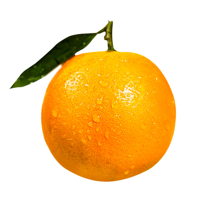 【送礼佳品】精装10斤鲜橙礼盒不甜不要钱