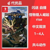 switch monster hunter rise Nintendo ns switch game