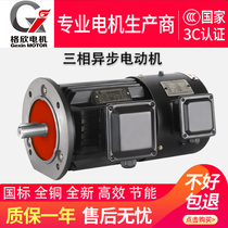 Frequency conversion speed control three-phase asynchronous motor 0 75 1 5 2 2 3 4 5 5 7 5 11kw motor 380V