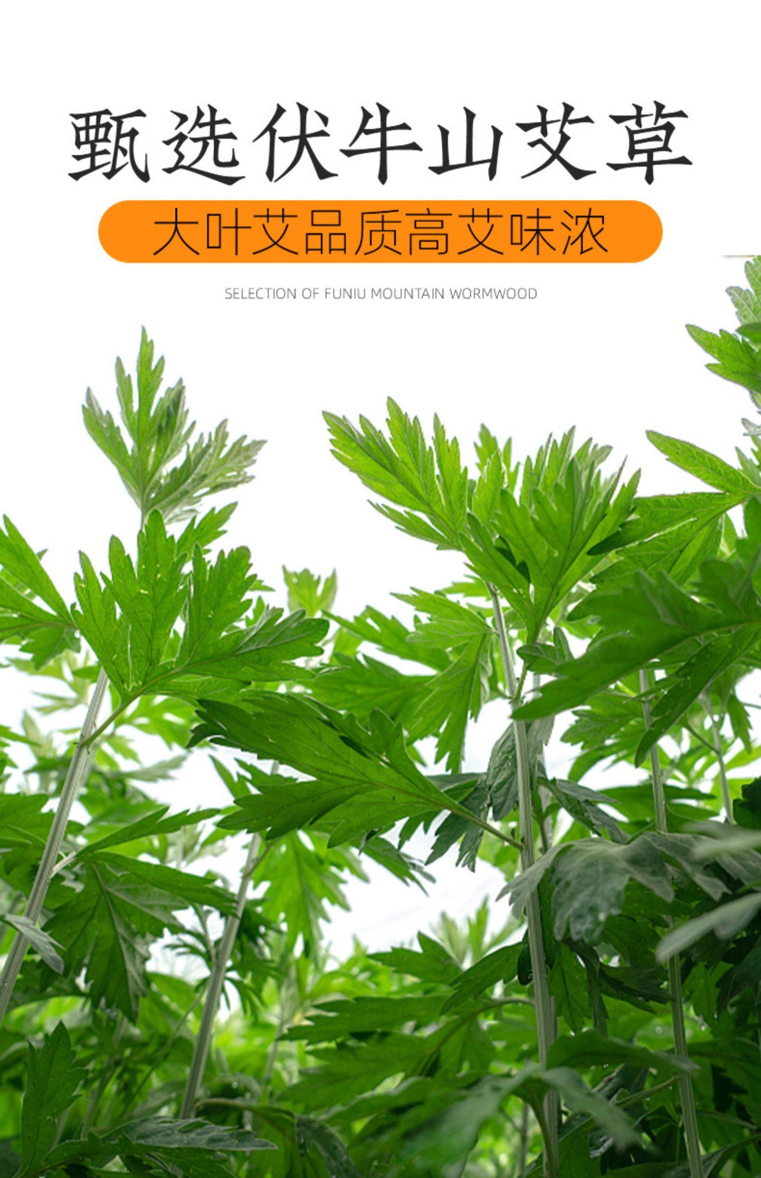 【南京同仁堂】草本中药艾草足浴包