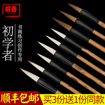 Wanxiang brush set beginner tribute Wolf sheep and small small and medium size plus healthy white cloud student practice
