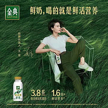 伊利金典鲜牛奶235ml*8瓶巴氏杀菌鲜奶全脂[25元优惠券]-寻折猪