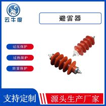 10kv zinc oxide arrester High voltage composite silicone rubber line type HY5WS-17 50 power station type