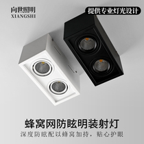 To World Lighting Installed LED spotlight double head Living room square COB bucket liner light Xuanguan gangway Living Room Suction Dome