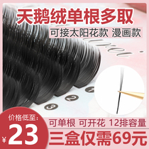 Love lady velvet eyelashes single root take more than the beauty of the house special comic eye sunflower eyelash grafting fairy