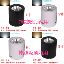 Minder Drum Light Hoisting Spotlight Cylinder Suction Top Ceiling Ceiling Lamp Round Free Portiporium Günguan Aisle Lamp Engineering Cylinder Light