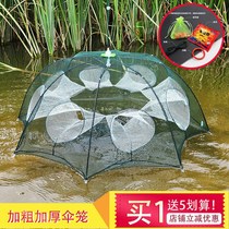 Umbrella cage catching fish cage bait fish cage catching crabs catching shrimp cages crab cages sending bait loach cage night light catching fish cages sending