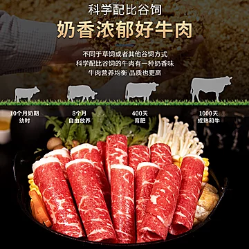 真牛馆肥牛卷原切火锅烤肉片A套装800g[3元优惠券]-寻折猪