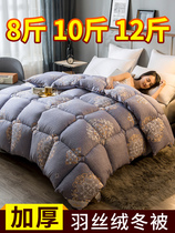 10 Jin velvet quilt autumn and winter quilt cotton bedding thickened warm double quilt single student dormitory