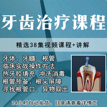 Tooth Body Tooth Medullary Root Canal Therapy Course Video Tutorial Ensemble Real Fuck Peng Yu Oral Teaching