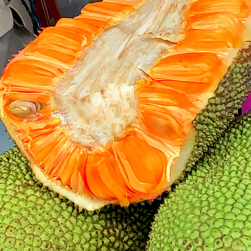 菠萝蜜整个进口现货好吃红心红肉越南现摘香甜菠萝蜜