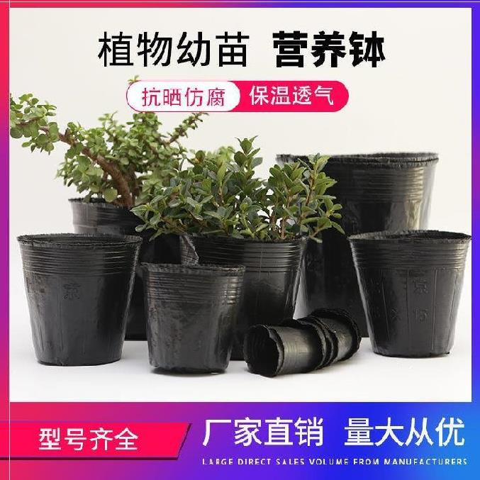 营养袋育苗袋果树实用特大号移植装土神器袋钵盆营养土育种苗盘13 Изображение 1 营养袋育苗袋果树实用特大号移植装土神器袋钵盆营养土育种苗盘13 Изображение 1