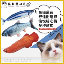 Catnip grass carp toy pillow funny cat toy cat pillow pet toy cat toy