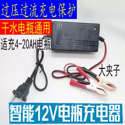 Smart 12v pedal locomotive battery charger 12 20AH battery repair charger dry water Universal type
