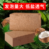 Coconut Brick Nutrient Broccoli Coarse Coconut Shell Raised flowers Multi-meat Matrix Comm Type Broccoli Coconut Shell Brick Climbing and Flattering