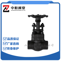 Forged steel wire closure valve J11H-800LB internal thread high temperature and high pressure steam American standard DN15 20 25 32