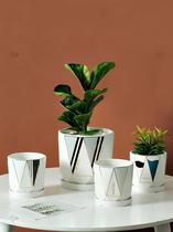 Flower pot ceramic generation simple luxury with tray household indoor fleshy flower seedlings green plant jasmine green flower pot