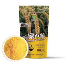 Qingyang specialty yellow millet rice fat moon millet 500g bagged whole grains nutrition whole grains stomach yellow millet
