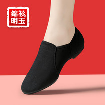 Play Force Buds Classical Dance Shoes Soft Bottom Teacher Shoes Adults Dance Shoes Women Ballet Shoes Body Shoes Body Training Shoes
