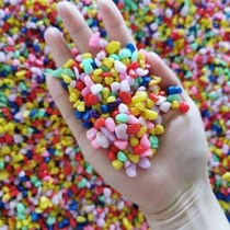 Fleshy paving stone colorful stone colorful stone fleshy paving stone gardening stone flower pot decorative small stone