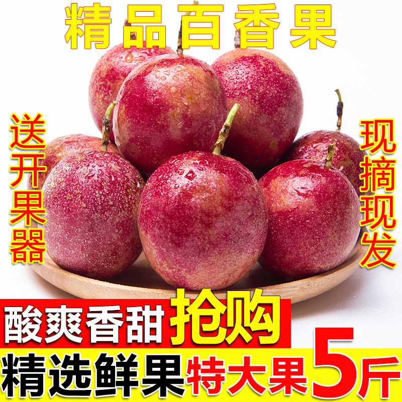 现摘广西百香果特大果图片_1