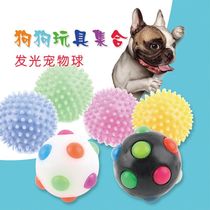 Dragon Crested Cockpit New Creative Cat Pet Grindling Glowing Puzzling Dogs Resistant To Bite Toy Ball Halloween