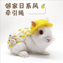Amazon Pet Rabbit Clothes Rabbit Rabbit Cat Lop Ear Rabbit Decoration Clothes Traveling and Taking Photos