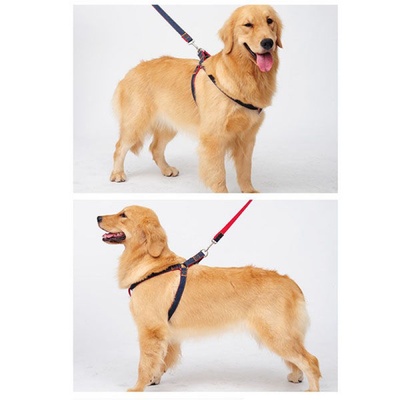 狗链狗狗牵引绳胸背带狗绳遛狗绳泰迪金毛