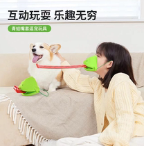 Pet toy frogmouth spit tongue toys tease cat toy cat toy cat self-hi fun dog