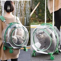 Pet Pull Lever Case Out Portable Bag Pull Bar Case Large Capacity Breathable Space Compartment Transparent Pet Suitcase Outside