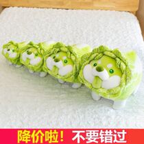 Net Red Cabbage Dog Doll Plush Toy Cute Super Cute Paparazzi Cabbage Roll Heart dog Pillow Doll Birthday Gift