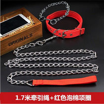 Dog traction rope Anti-bite Pet Walk Dog Rope Small Mid Sized Canine supplies Neck Collar Item Ring Dog Iron Chain