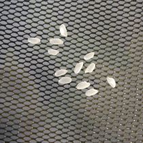 Small fish protection 20cm wild fishing mini portable small size 25 dense eye Square fish protection quick-drying glue anti-hanging fishing protection