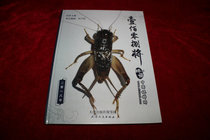 Cricket bowl Cricket pot 2018 108 Cricket fight photo selection bucket pictures Cricket utensils