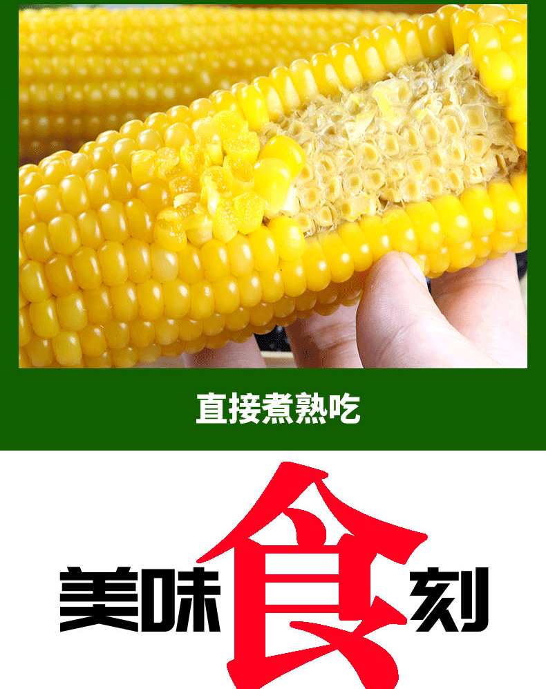 【班贤】黄糯玉米甜玉米棒10根*220g