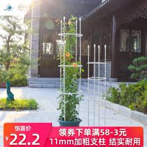 Household climbing cane climbing rattan Garden support climbing frame small basin L view traction flower arch climbing vine plant flower