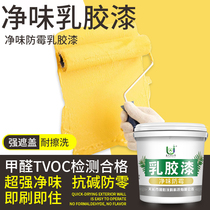 Interior wall latex paint Waterproof paint Wall art paint White environmental protection self-brush wall paint Household paint color paint