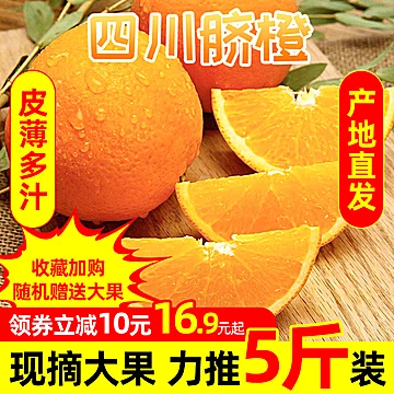 【现摘现发】四川新鲜脐橙水果5斤[10元优惠券]-寻折猪