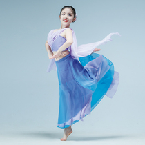 Dai Dai Dai Dance Show Girls Retired Gradual Fish-tail Dress National Peacock Costume