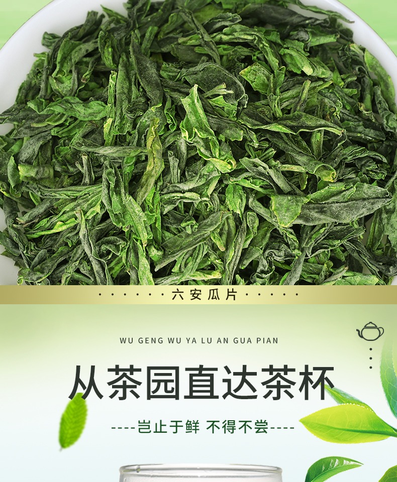 江小茗六安瓜片绿茶新茶罐装