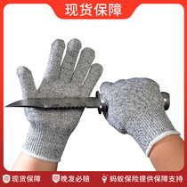 HPPE cutting gloves 5 - level cutting labor insurance products kitchen site anti - cutting wound gardening protection