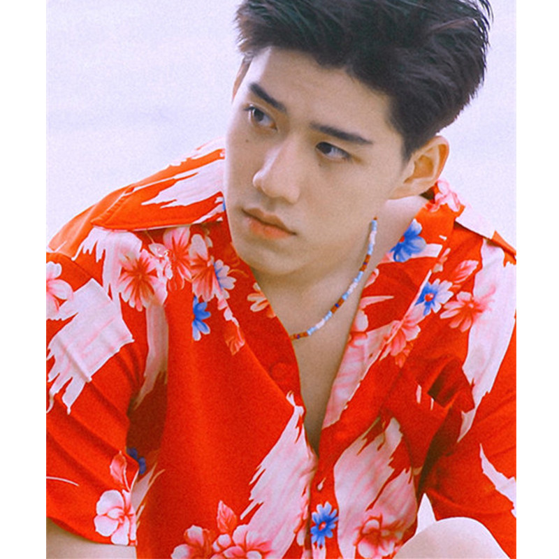 暖青汇以你的心诠释我的爱bkpp欧儿pp同款红扶桑花衬衫他泰式短袖上衣