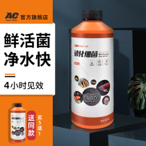 AC filter material nitrifying bacteria fish tank water purifier digestive bacteria water quality stabilizer filter material live bacteria fish medicine supplies
