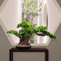 Simulation welcome Pine guest plant bonsai new Chinese ornaments living room fake tree potted porch green plant sales department soft installation
