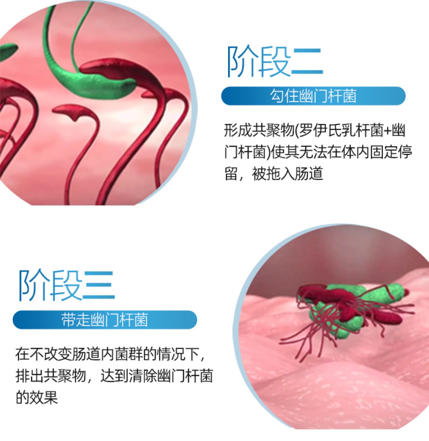 德国Pylopass除幽益生菌调理肠胃