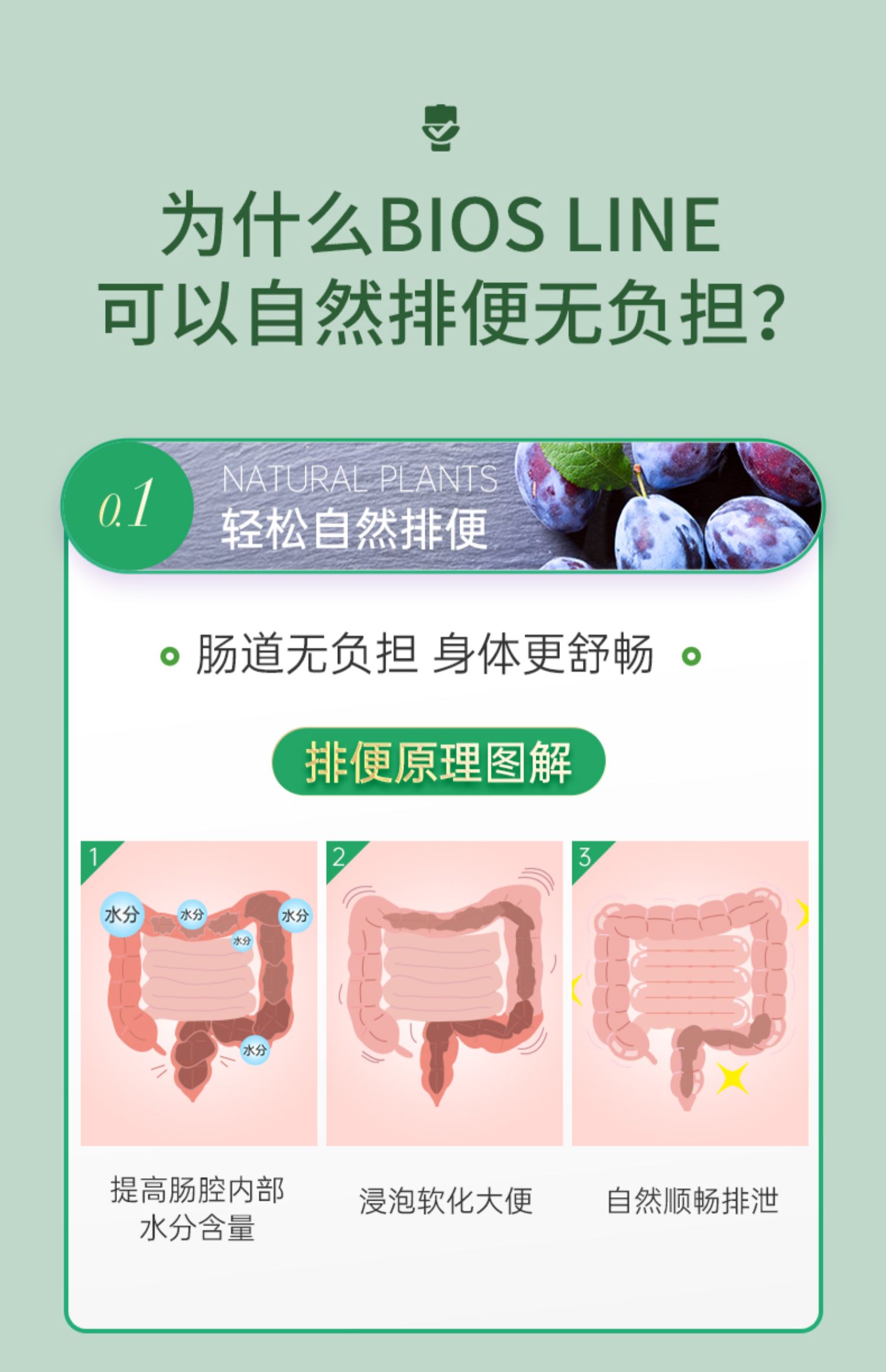 biosline意大利清肠片西梅植物排便神器