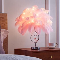 Bedroom lamp Romantic mood Nordic feather decoration bedside table decoration ins small table lamp good thing girl heart
